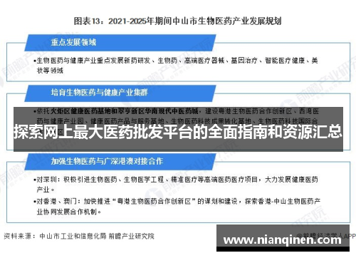 探索网上最大医药批发平台的全面指南和资源汇总